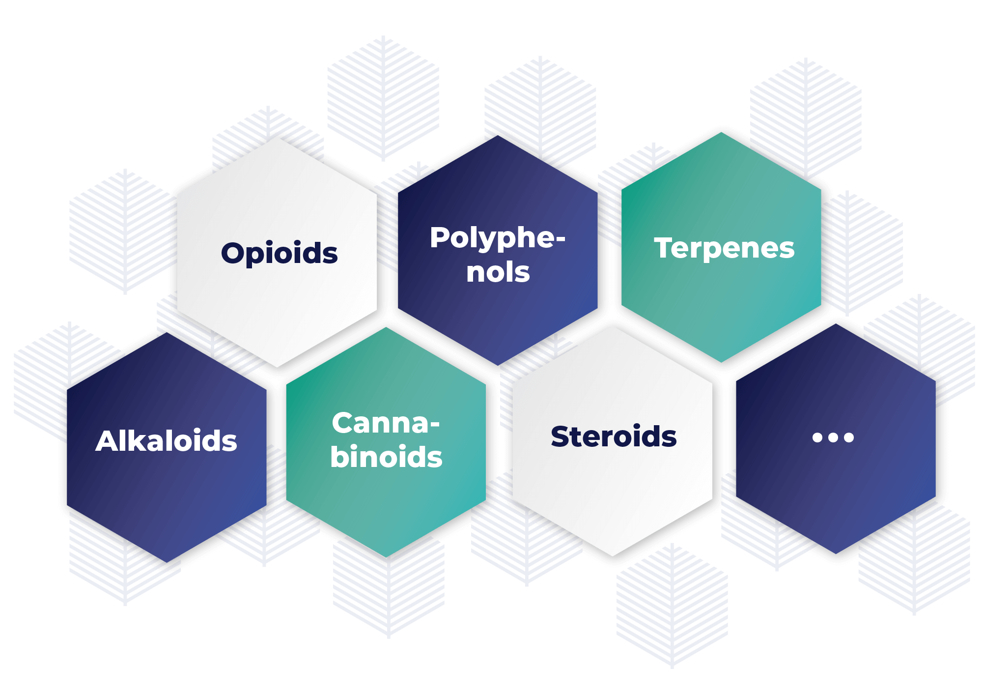 Examples of secondary metabolites - Bioproduction of hairy root