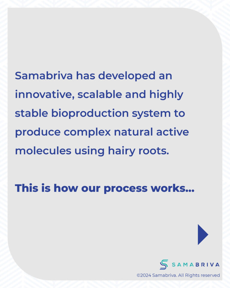 Samabriva Hairy Root Technology_compressed_Page_03