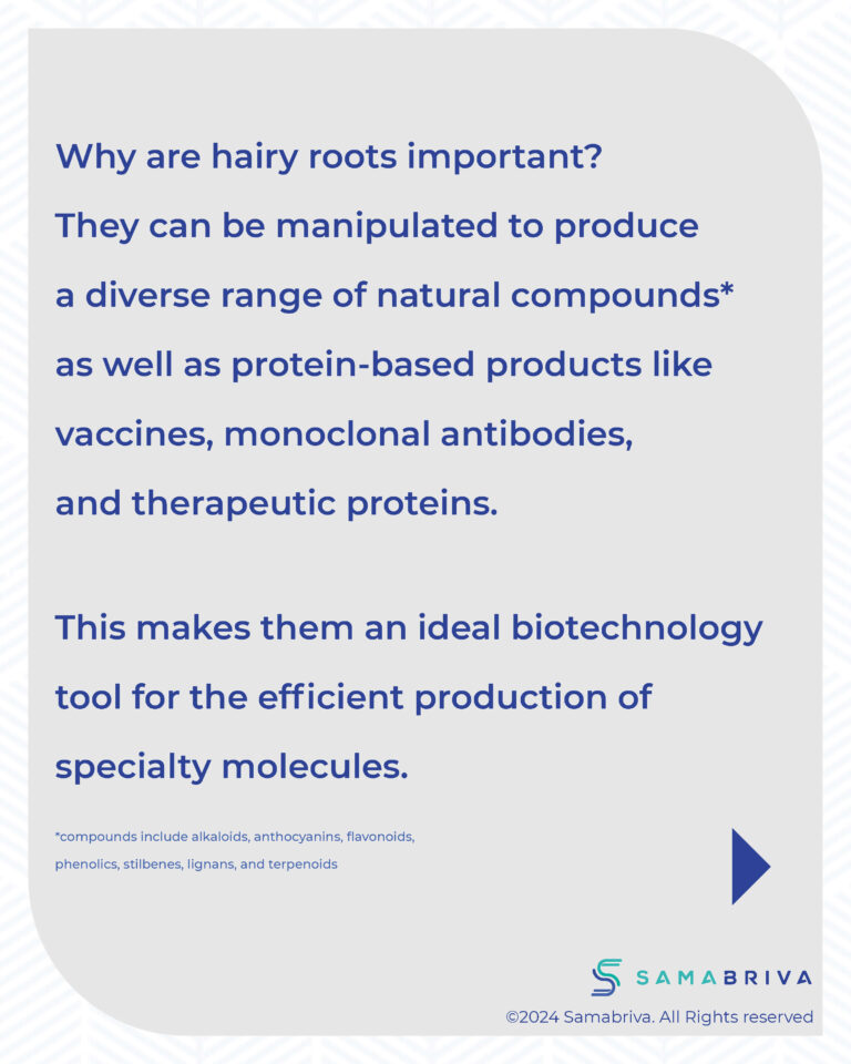 Samabriva Hairy Root Technology_compressed_Page_07