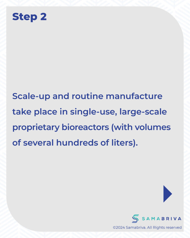 Samabriva Hairy Root Technology_compressed_Page_16