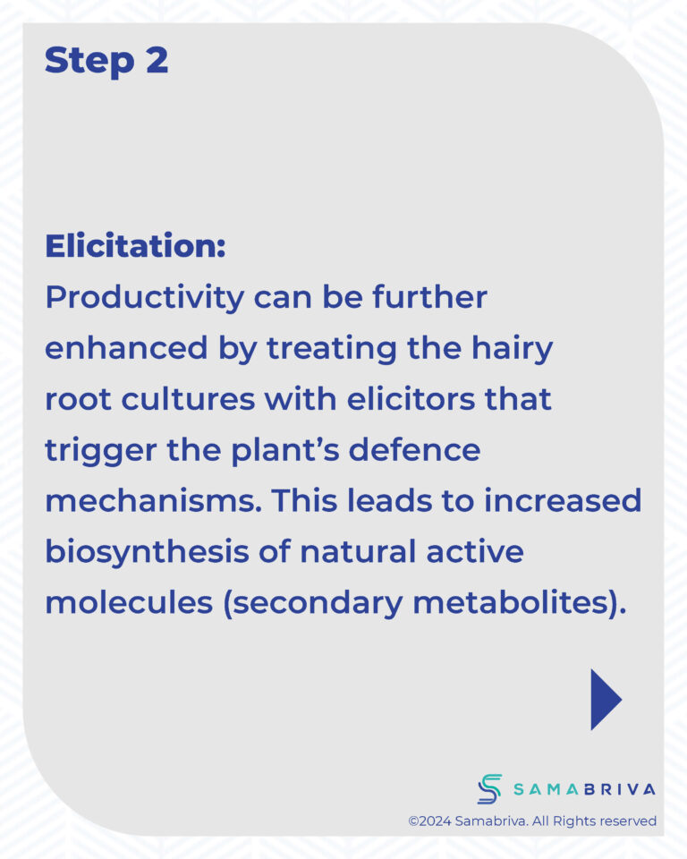 Samabriva Hairy Root Technology_compressed_Page_17