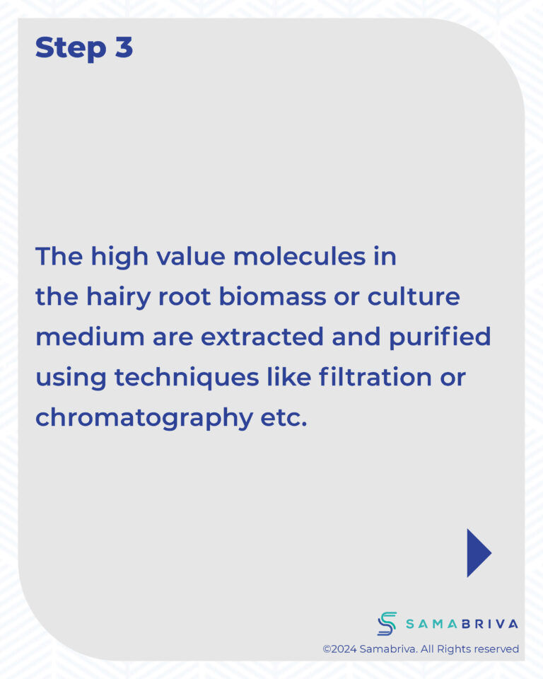 Samabriva Hairy Root Technology_compressed_Page_19